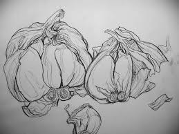1,989 likes · 14 talking. Tutti I Tipi Di Disegno Al Tratto