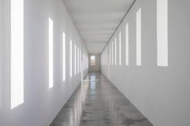 All you need to know about bob irwin, complete with news, pictures, articles, and videos. Robert Irwin The Chinati Foundation
