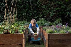 Maybe you would like to learn more about one of these? Woodies Dundalk Calling On Local Children To Take Part In New Gardening Competition Dundalk Democrat