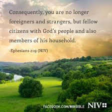 Look At The Birds Of The Air Niv Pin On Scriptures Quotes Prayers Positive Thinking