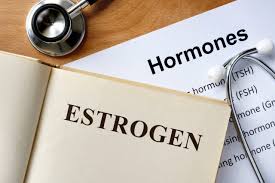 Image result for Estrogen