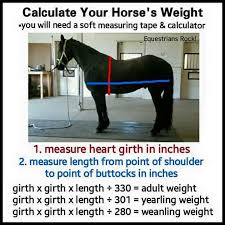 Calculate Horse Weight Horse Weight Horses Horse Care
