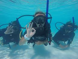 All platinum pro dive center dive center dive destination platinum pro dive destination organizational affiliate professional educator dive shop platinum pro dive shop dive club platinum pro dive club. Get Scuba Certified Everything You Need To Know