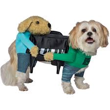 Rasta Imposta Piano Dog Costume Clothing More Shop The