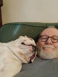 Do English Bulldogs often put their butts up against their owners' heads  when sleeping?