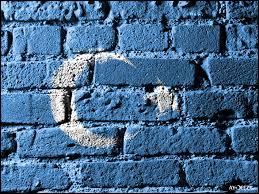 Resultat d'imatges de eastern turkestan