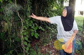 Cara pemasangan pagar ghoib dengan wirid ayat quran. Cara Pagar Rumah Guna Garam Dan Lada Hitam Pagar Rumah