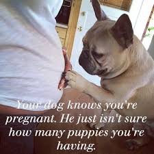 You Re My Dream Guy French Bulldog Frenchie With Baby Cute Baby Announcements Dog Baby Announcement Bulldog