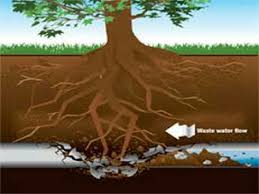 Découvrez notre technique coupe racine rootcut®. Debouchage Egout Travaux Egouttage Bruxelles Apd 79
