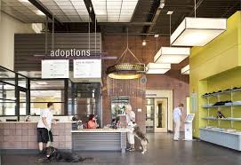 Multiple breed rescue groups in colorado. Denver Animal Shelter Integrated Lighting And Electrical Solutions