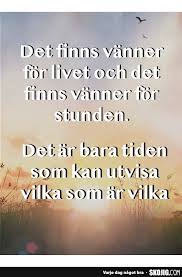 Vinnare av 5 goya awards 2016, bl.a. Det Finns Vanner For Livet Skamt Och De Basta Roliga Bilderna