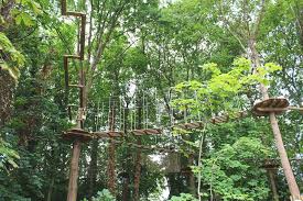 Go Ape Treetop Experience At Alexandra Palace North London Alexandra Palace Go Ape Palace