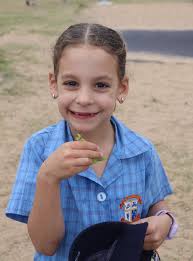 St Francis Catholic...