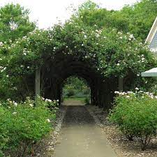 A walled garden is usually Create A Magical Secret Garden Hgtv