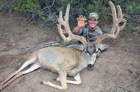 Why Your Bow Shouldn't Shine