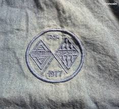 Image result for Gris Argent 1977 Renault