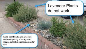 Products of this group are all made in a rather simple way, some key parameters should be considered first. Motion Sensor Sprinklers Motion Sensor Sprinklers