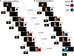 Frontiers | Inhibitory Control in Children 4–10 Years of Age: Evidence From  Functional Near-Infrared Spectroscopy Task-Based Observations