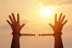 It also protects the right to peaceful protest and to petition the government. Who Really Has Free Speech The Past And Future Of The First Amendment