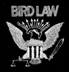 Bird Law Always Sunny Quotes 1405632284311 Jpg 980 1024 Bird Law Birds