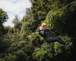 Image result for Oldenlandia verrucitesta