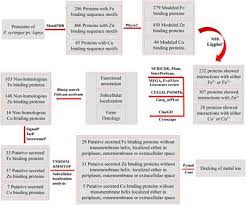 15 august 2018 india holidays & popular observances. Frontiers In Silico Study Of Iron Zinc And Copper Binding Proteins Of Pseudomonas Syringae Pv Lapsa Emphasis On Secreted Metalloproteins Microbiology