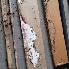 There is no need to put up with pests. Pest Control In La Crosse Yelp