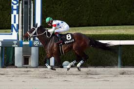 【名古屋競馬（名古屋グランプリ）】名古屋競馬の最高峰レースに重賞馬が7頭も集結！