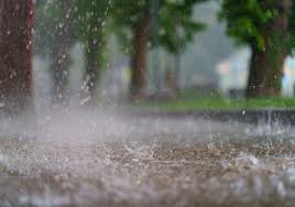 La lluvia caída en el mes de enero the rainfall in january; Por Fin Se Extenderan Lluvias Al Norte De Mexico