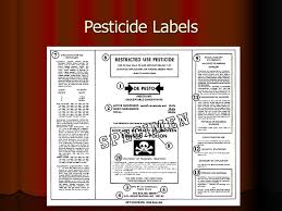 For the best pest control service in jacksonville, fl call turner pest control. Integrated Pest Management Ppt Download