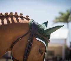 Plaiting Equestrian Outfits Equestrian Horses