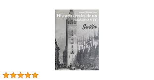 Historias reales de un conductor VTC Sevilla : Tobio Castro, Manuel:  Amazon.es: Libros