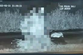 Viral, Video Pasangan Muda-mudi Mesum di Lapangan Renon Bali, Terekam CCTV  Halaman all - Kompas.com