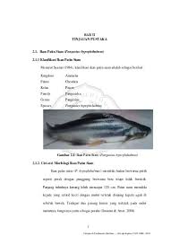Check spelling or type a new query. Evaluasi Reproduksi Tiga Populasi Ikan Patin Siam