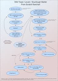 Wild Yeast Levain Sourdough Starter Flowchart Andrew