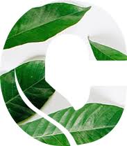 Laser hair removal, w2 dermalaze harley street (11) harley street, london • 1.1. Laser Hair Removal London