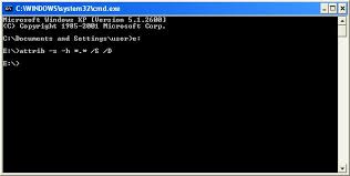 Yang paling mudah dan pantas adalah dengan menggunakan cmd (command prompt). How To Recover Hidden Files Infected By Viruses Sirmart It