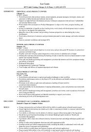 Agile Product Owner Resume Samples Velvet Jobs