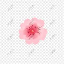 Bunga ini pun tidak terus tumbuh dinegara jepang hanya pada musim semi saja. Bunga Sakura Kartun Merah Muda Png Grafik Gambar Unduh Gratis Lovepik