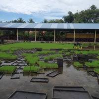Dari aspek kajian sosial lembaga merupakan pola perilaku yang. Lembaga Kemajuan Pertanian Muda Mada Tambun Tulang Government Building