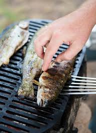 Forelle Grillen 2 Leckere Rezeptideen Und Einige Zubereitungstipps Forelle Grillen Fisch Zubereiten Fisch Grillen Rezepte