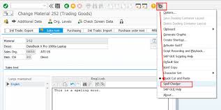 Eursap S Sap Tip Of The Week Spell Checker In Your Sap System Sap Tips And Tricks Eursap