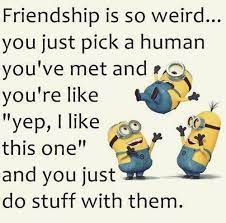 Top 30 Famous Minion Friendship Quotes Quotes And Humor