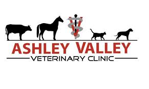 I graduated from the new york state college of veterinary medicine at cornell university in 1989 and took over the pet stop veterinary clinic several years later. Ashley Valley Veterinary Clinic Vernal Utah