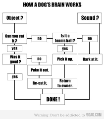Dog Flow Chart Dog Brain Dog Logic Dog Thoughts