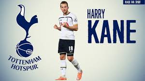 Portrait vector illustration for football mickey. Harry Kane 2015 Wallpapers Wallpaper Cave