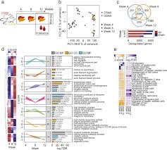 Systems of veins carrying blood capillaries of intestine to liver in mammals is called hepatic portal system. Biomarker Discovery For Chronic Liver Diseases By Multi Omics A Preclinical Case Study Scientific Reports