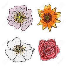 This package contains 100% cotton canvas, 100% cotton yarn, one needle and instructions. Tropical Floral Set Tropical Exotic And Domestic Summer Flowers Royalty Free Cliparts Vectors And Stock Illustration Image 74302899