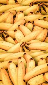 Proses pemasakan pisang menunjukkan pisang kuning hijau segar di sebelah kiri, pisang kuning matang optimal di tengah dan pisang basi menjadi coklat tua karena pencoklatan enzimatik di kanan. 330 Ide Polosan Di 2021 Fotografi Pemandangan Fotografi Alam