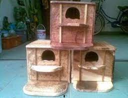 Jadi tidak harus memilah sesuai jenkel atau usia. Cara Membuat Sangkar Burung Lovebird Dari Kayu Lovebirds Lover